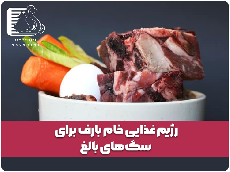 رژیم غذایی خام بارف برای سگ‌های بالغ